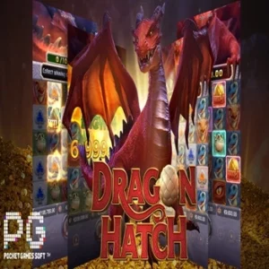 Dragon Hatch pg